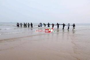 燕赵都市最新爆料,最新爆料事件深度解析