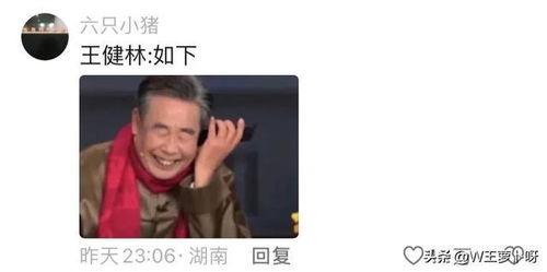 笑死有网友爆料视频吗,视频内容引发热议