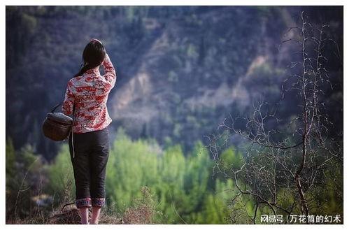 山村姑娘在线观看,探寻乡村青春的美丽传奇