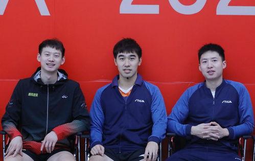 方博爆料刘诗文视频,揭秘背后惊人内幕