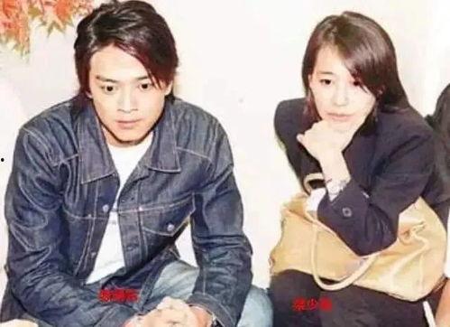 向太爆料陈晓东视频全集,揭秘事件全貌