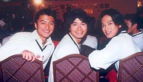 向太爆料陈晓东视频全集,揭秘事件全貌