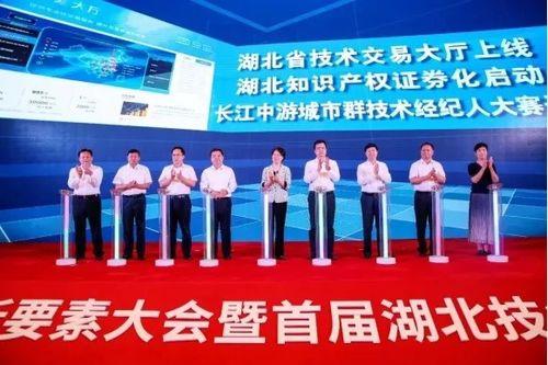 武汉市最大新闻爆料电话