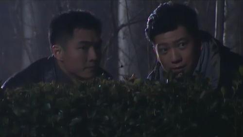 电视剧神圣使命全集在线观看,揭秘剧情高潮与感人瞬间